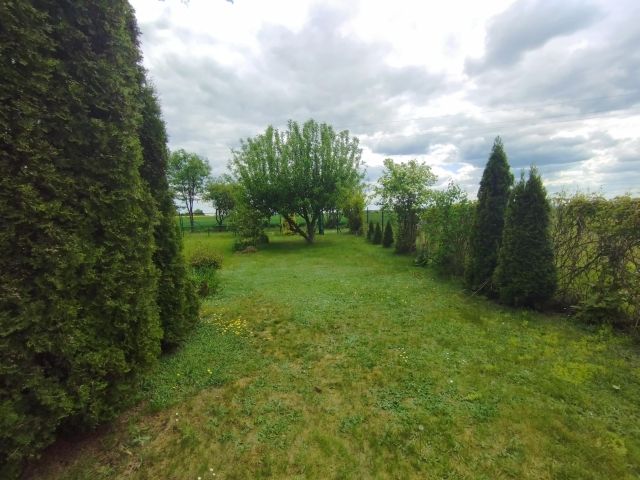 Działka rekreacyjna Szymanów, ul. Szkolna. Zdjęcie 1