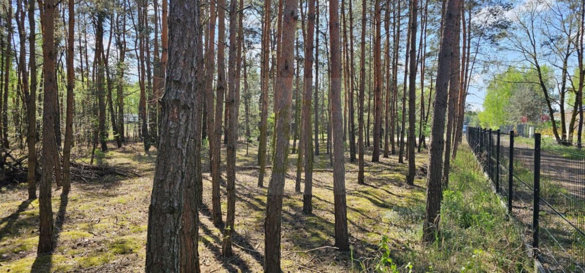 Działka leśna Makówka. Zdjęcie 2