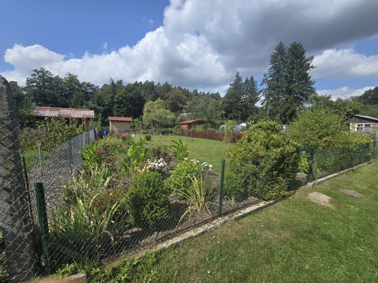 Działka rod Wędrzyn. Zdjęcie 2