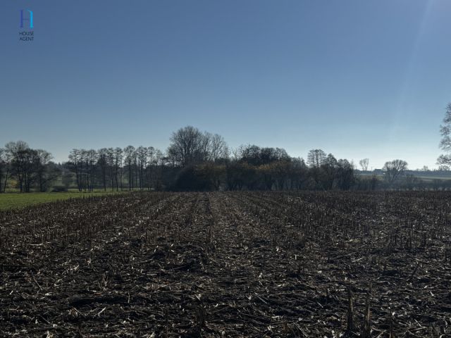 Działka siedliskowa Kolonia Łaznów. Zdjęcie 4