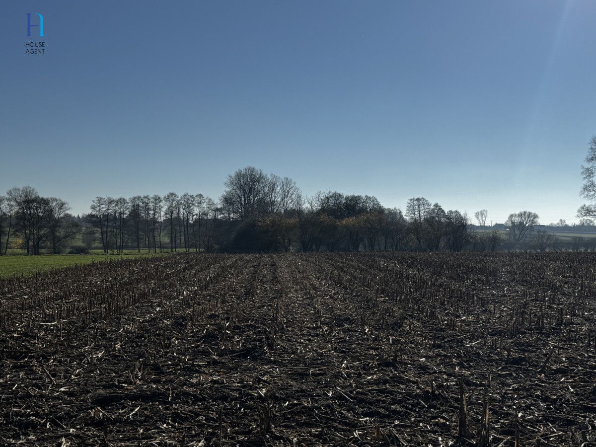 Działka siedliskowa Kolonia Łaznów. Zdjęcie 4