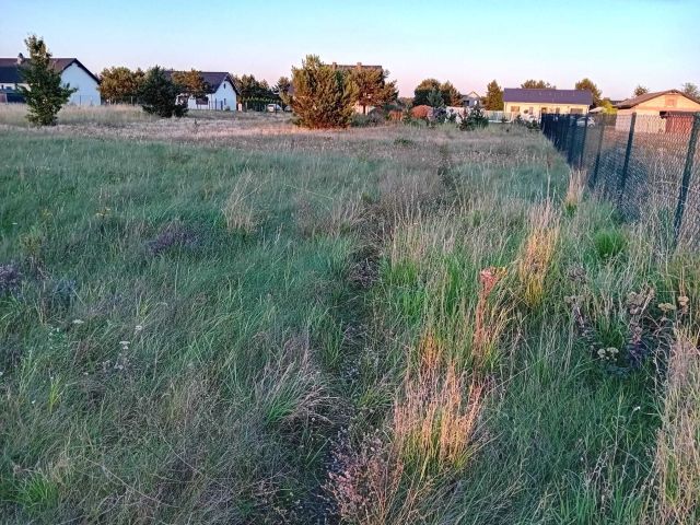 Działka budowlana Rynarzewo, ul. Bluszczowa. Zdjęcie 1