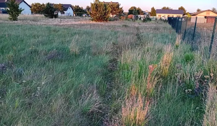 Działka budowlana Rynarzewo, ul. Bluszczowa