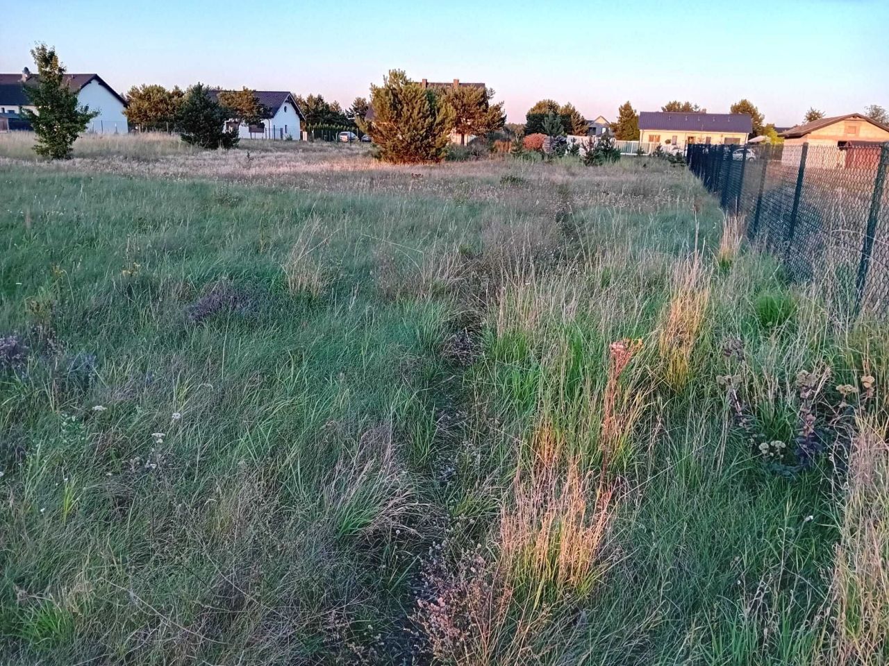 Działka budowlana Rynarzewo, ul. Bluszczowa. Zdjęcie 1