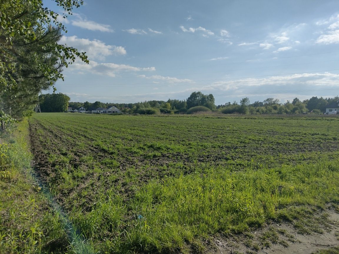 Działka budowlana Stefanowo, ul. Malinowa. Zdjęcie 7