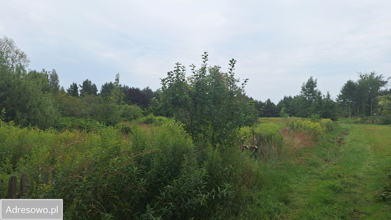 Działka budowlana Chrząstawa Wielka, ul. Skowronkowa. Zdjęcie 4