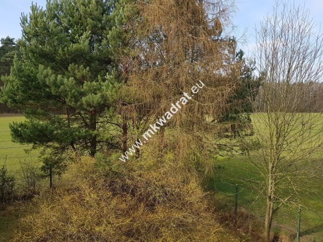 Działka Budy Wolskie. Zdjęcie 8