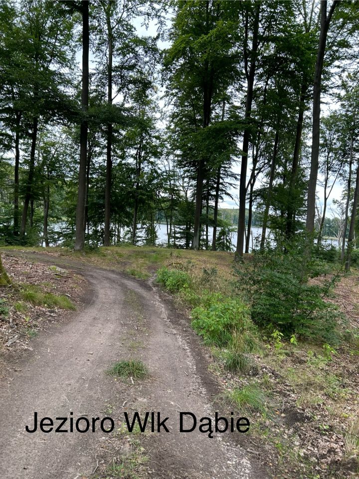 Działka rolna Rydzewo. Zdjęcie 10