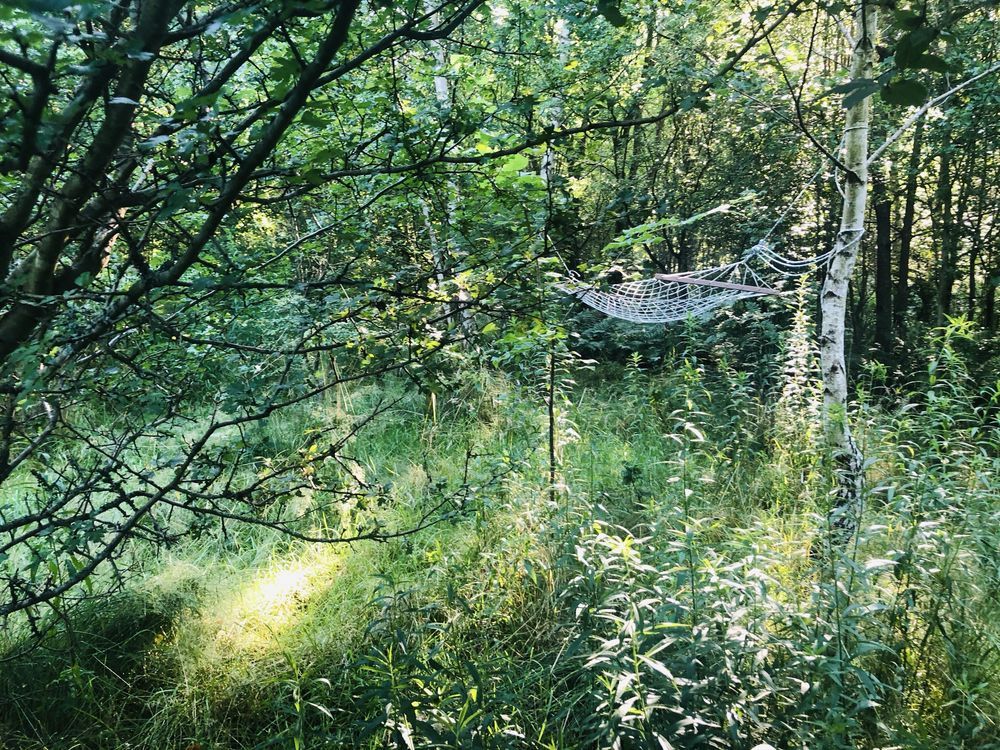 Działka budowlana Koszalin, ul. Lubiatowska. Zdjęcie 8