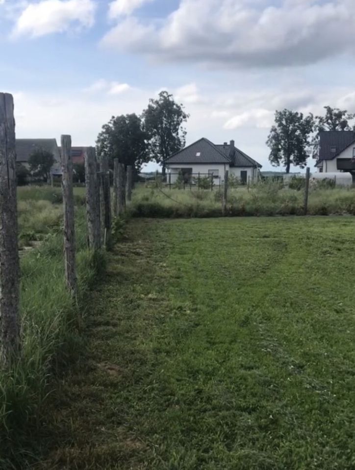 Działka budowlana Lipowa. Zdjęcie 7