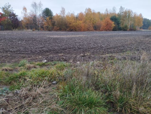 Działka budowlana Żelechów. Zdjęcie 3