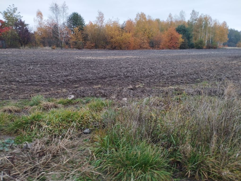 Działka budowlana Żelechów. Zdjęcie 3