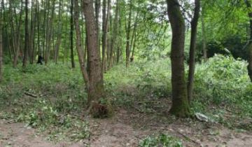 Ośrodek wczasowy Ogonki