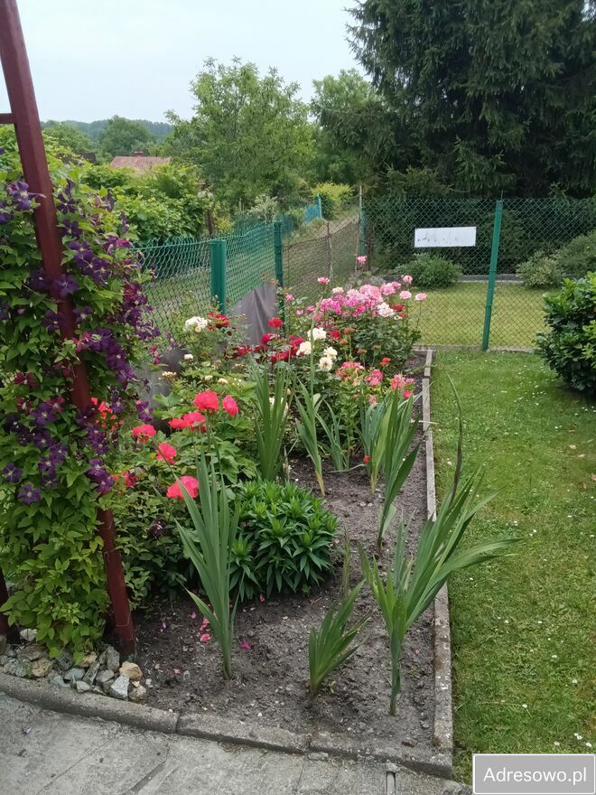 Działka rod Bytom. Zdjęcie 13