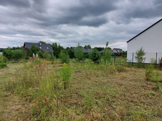 Działka budowlana Radzewice, ul. Bławatkowa. Zdjęcie 1