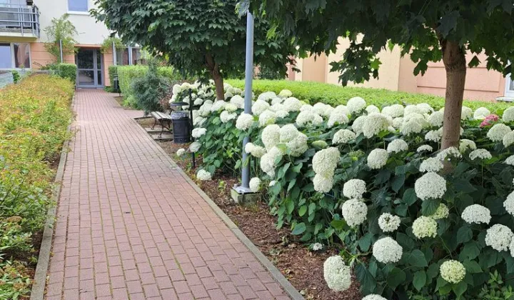 Mieszkanie 2-pokojowe Warszawa Białołęka, ul. Skarbka z Gór