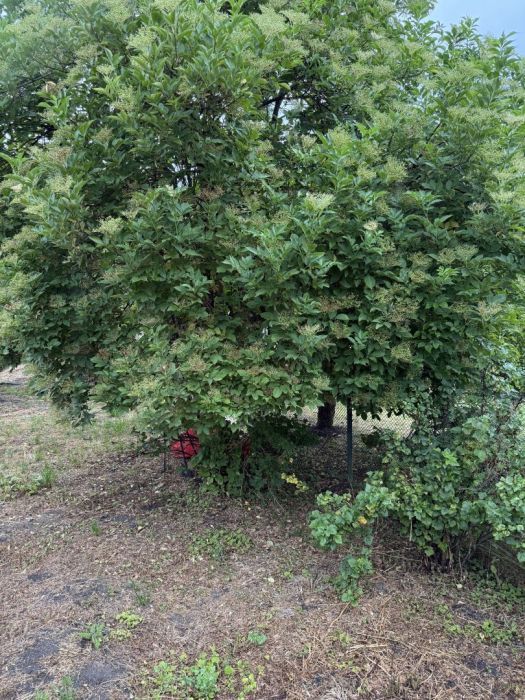 Działka rod Gdańsk Nowy Port. Zdjęcie 2