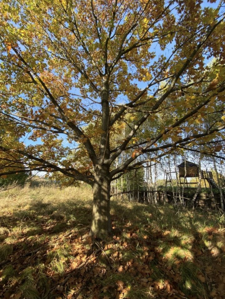 Działka budowlana Rybnik Zamysłów, ul. Dolna. Zdjęcie 8