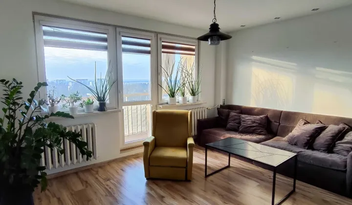 Mieszkanie 3-pokojowe Zabrze