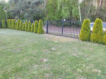 Działka rolna Drwalew. Zdjęcie 2