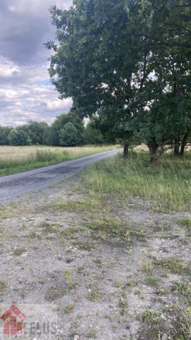Działka siedliskowa Przeginia Narodowa. Zdjęcie 6