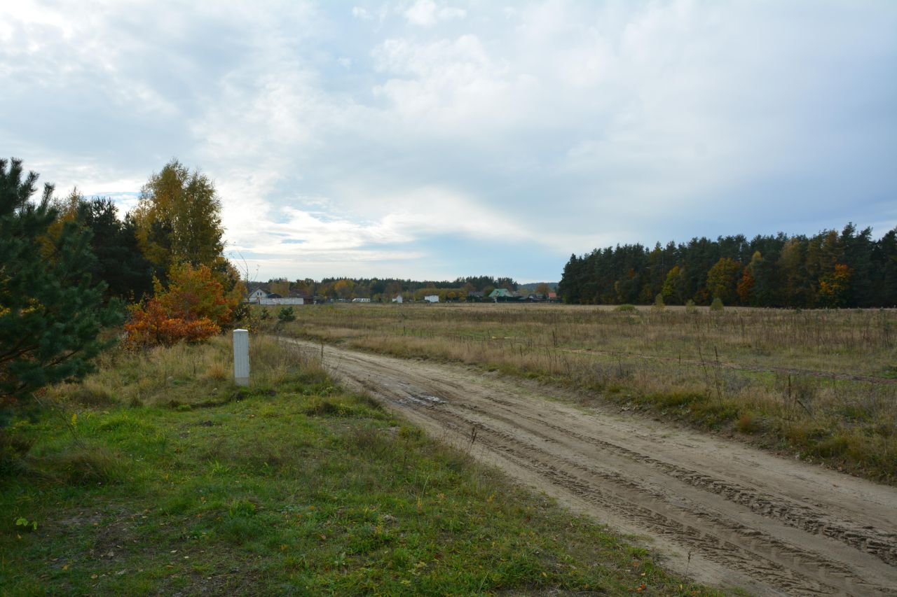 Działka rolno-budowlana Bieszkowice, ul. Polna. Zdjęcie 8