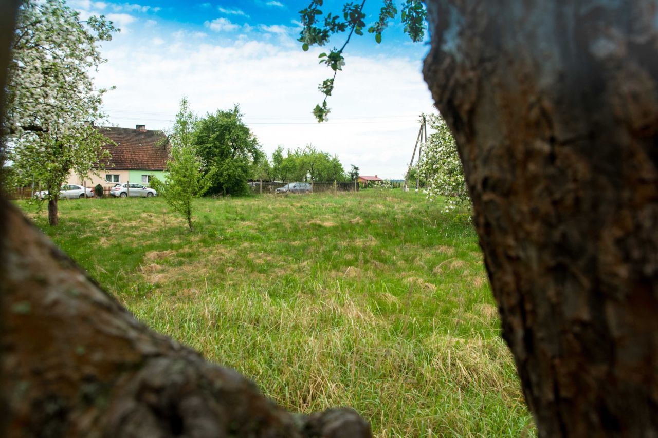 Działka budowlana Zawisze. Zdjęcie 7