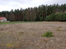 Działka budowlana Surowe. Zdjęcie 4