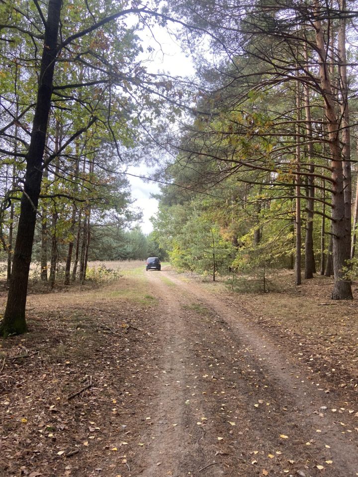 Działka rolna Karwice W Lesie. Zdjęcie 5
