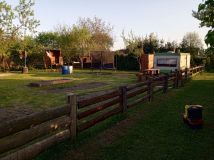 Działka rod Działdowo. Zdjęcie 3