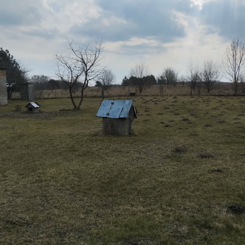 siedlisko, 3 pokoje Stara Sławogóra, Stara Sławogóra. Zdjęcie 3