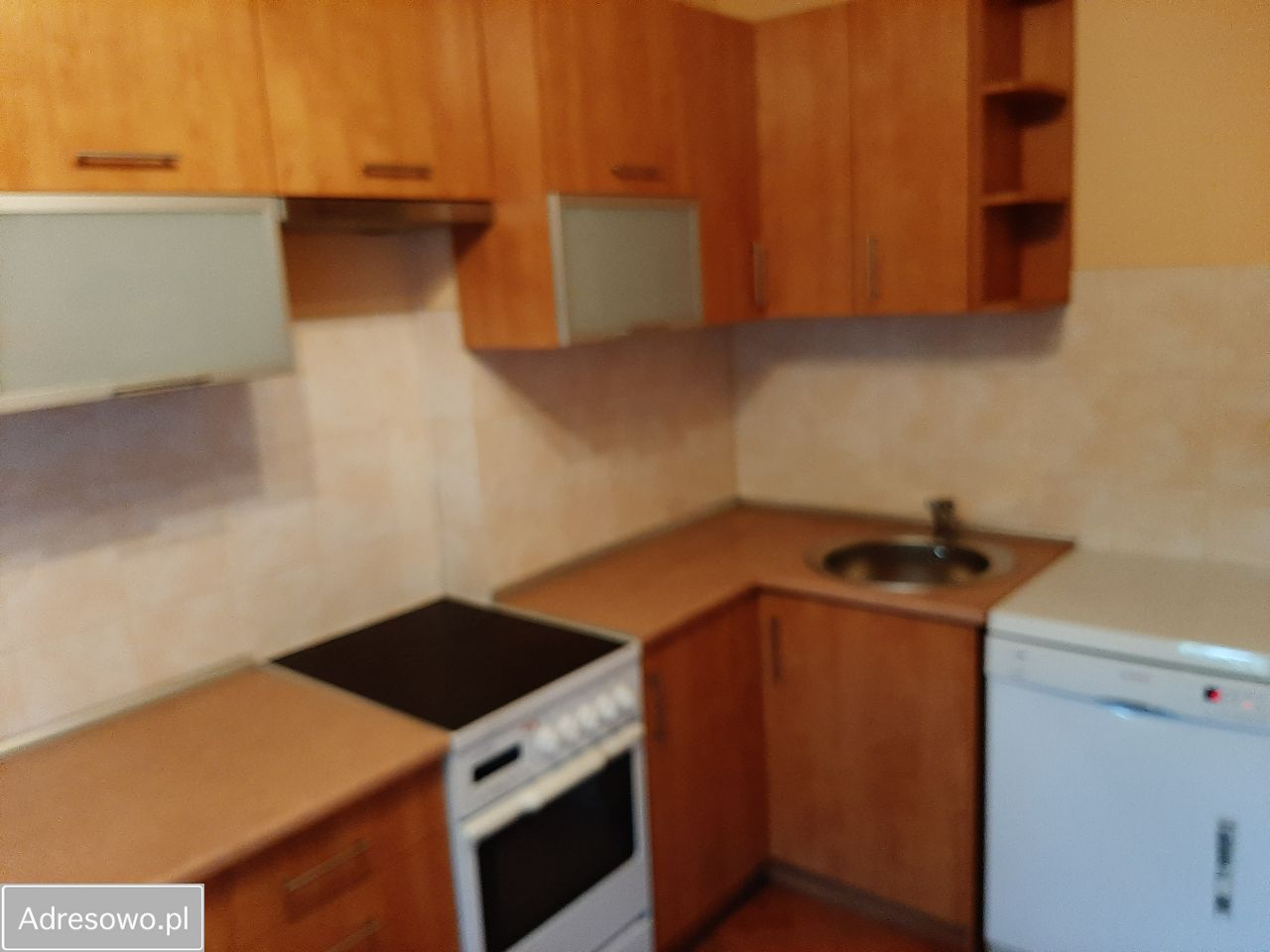 dom szeregowy, 7 pokoi Nysa. Zdjęcie 18