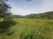 Działka rolno-budowlana Zwoleń. Zdjęcie 4