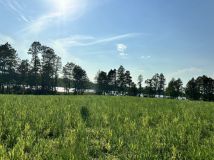 Działka rekreacyjna Lipienica. Zdjęcie 3