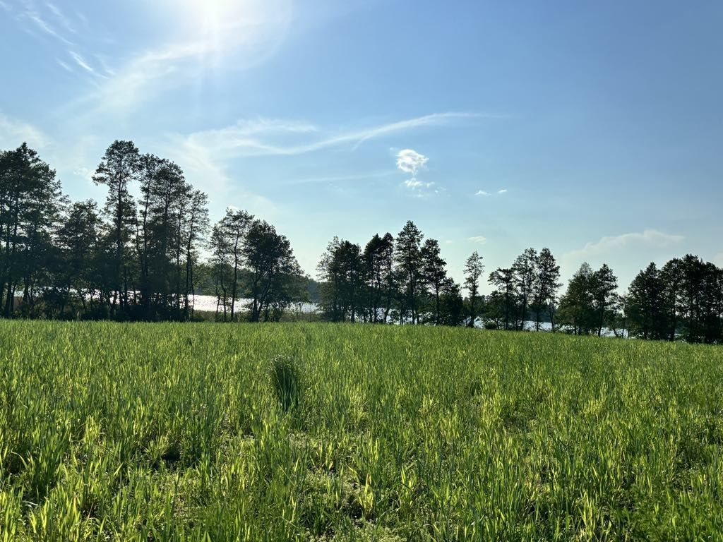 Działka rekreacyjna Lipienica. Zdjęcie 4