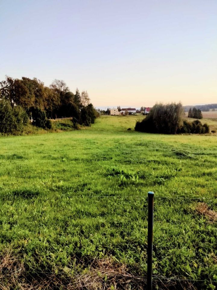 Działka budowlana Rybno. Zdjęcie 5