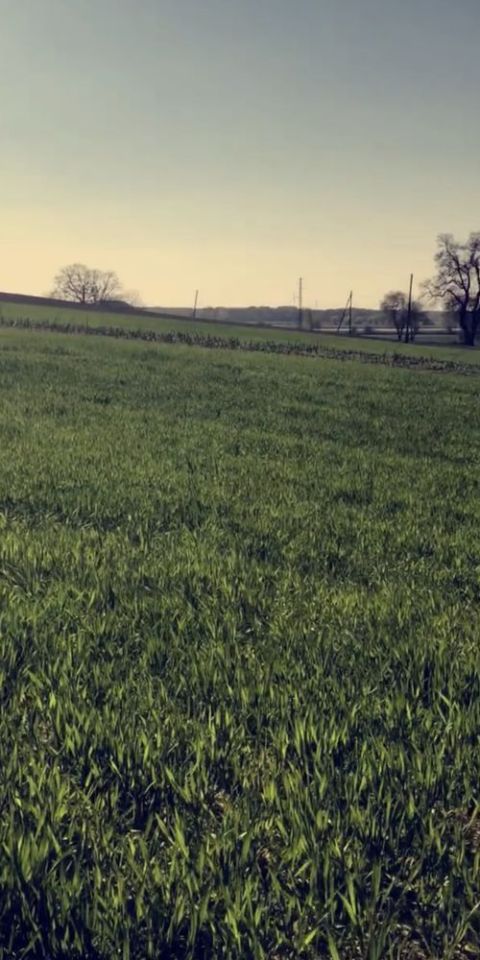 Działka budowlana Żabno, os. Zielone Wzgórze. Zdjęcie 2