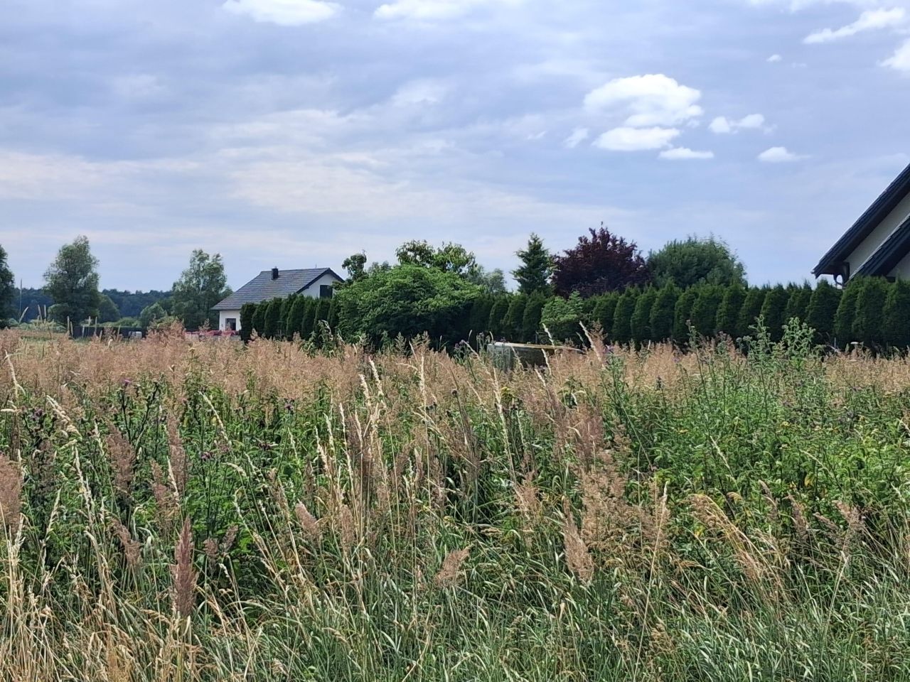 Działka rolna Dobra, ul. Czajki. Zdjęcie 5