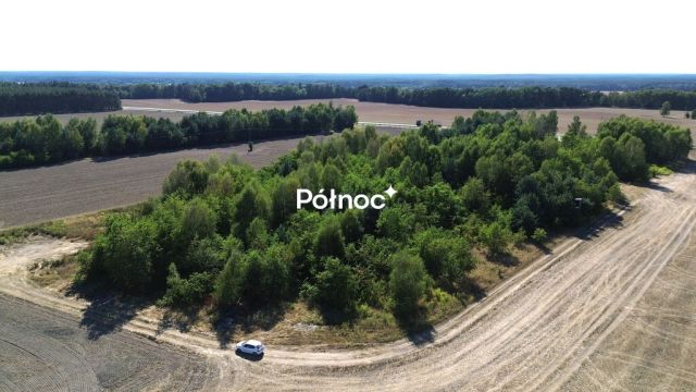 Działka inwestycyjna Dąbrowa Bolesławiecka. Zdjęcie 14