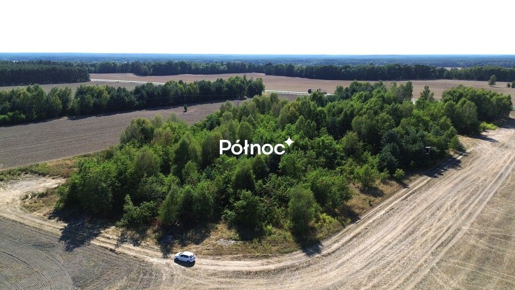 Działka inwestycyjna Dąbrowa Bolesławiecka. Zdjęcie 14
