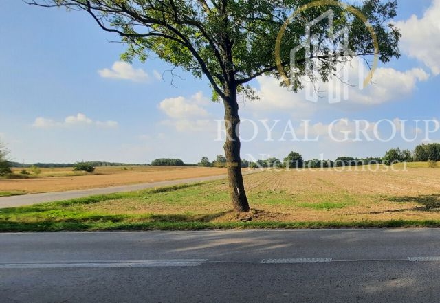 Działka rolna Rudno. Zdjęcie 6