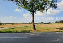 Działka rolna Rudno. Zdjęcie 4