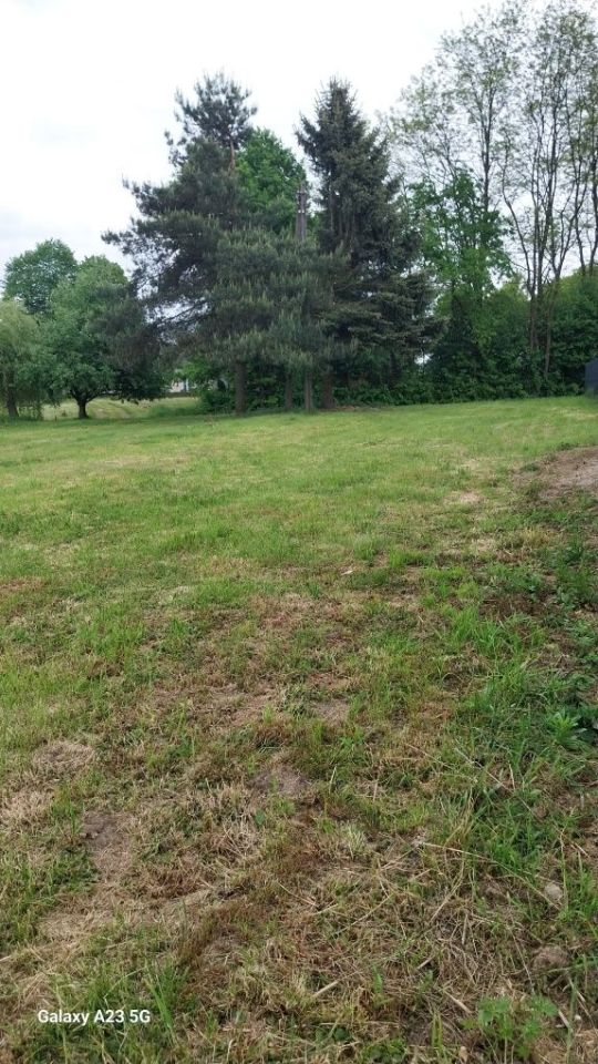 Działka budowlana Boczów. Zdjęcie 2