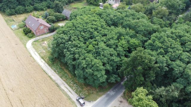 Działka budowlana Jankowa. Zdjęcie 2