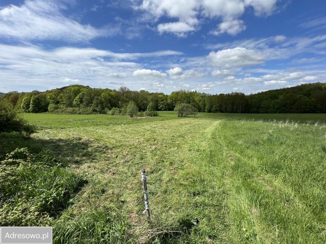 Działka rekreacyjna Wojcieszów. Zdjęcie 1