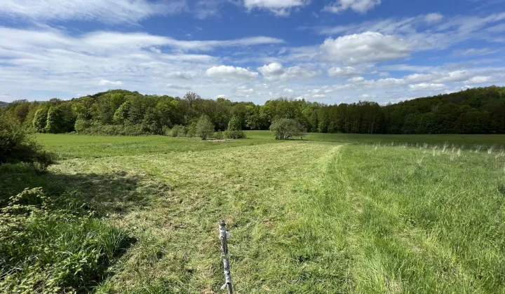 Działka rekreacyjna Wojcieszów