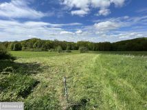 Działka rekreacyjna Wojcieszów