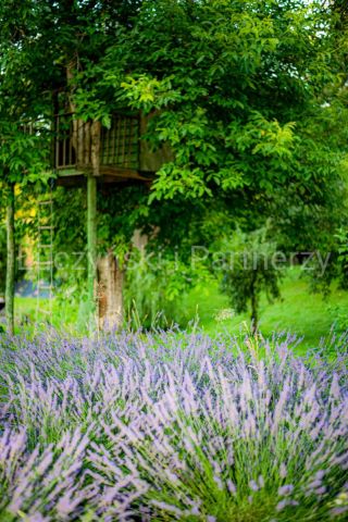 dom wolnostojący, 10 pokoi Dębowy Gaj. Zdjęcie 6