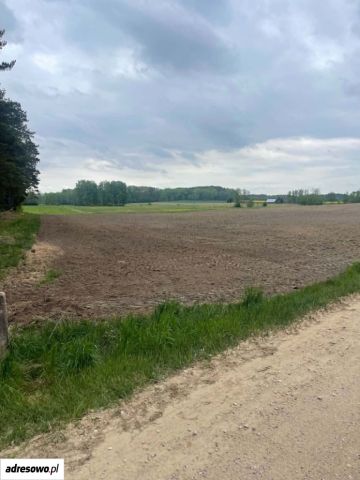 Działka rolna Miniewicze. Zdjęcie 1