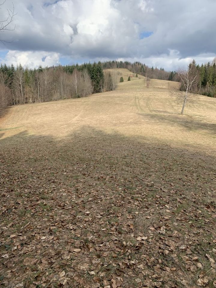 Działka rolna Lubomierz. Zdjęcie 3